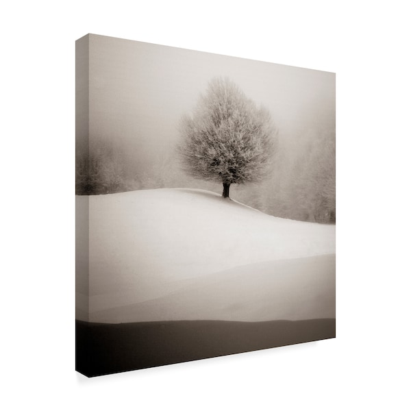 Sc 'Winter Degrade' Canvas Art,18x18